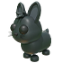 Amami Rabbit