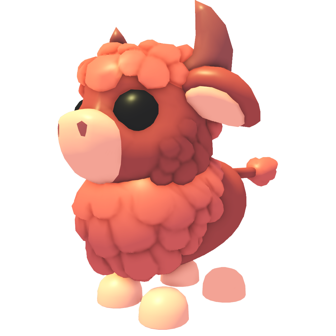 Angus Bull