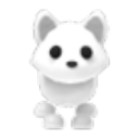 Arctic Fox