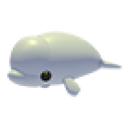 Beluga Whale