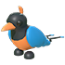 Bird Of Paradise