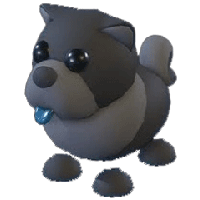 Black ChowChow