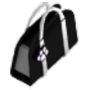Black Purse