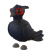 BlackChested Pheasant
