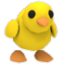 Chick