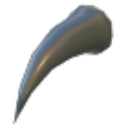 Claw