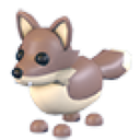 Coyote
