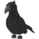 Crow