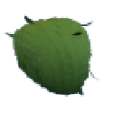 Eco Green Leaf Afro