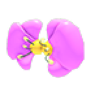 Flower Wings