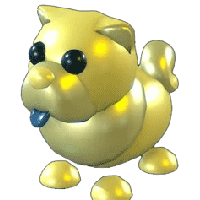 Golden ChowChow