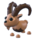 Ibex