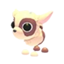 Kid Goat
