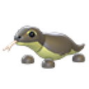 Komodo Dragon