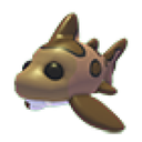Leopard Shark