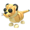 Liger