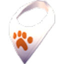 Neckerchief