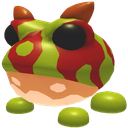 Ornate Horned Frog