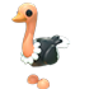Ostrich