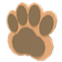 Pet Treat