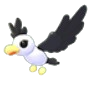 Pilot Gull