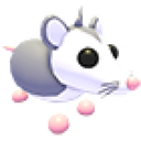 Possum