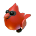 Red Cardinal