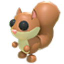 Red Squirrel