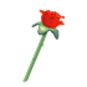Rose Throw Toy