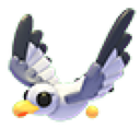 Seagull