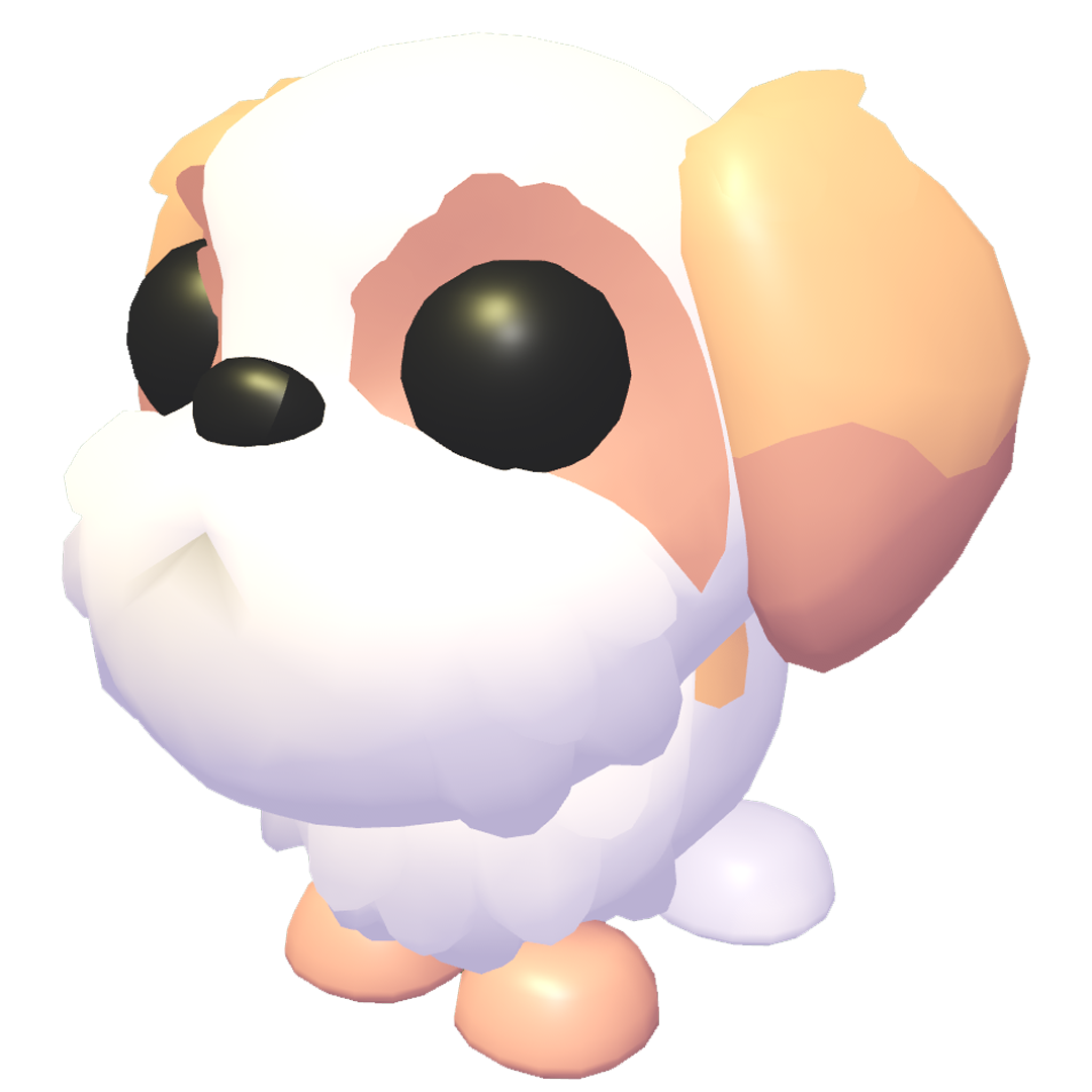 Shih Tzu