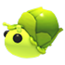 Sprout Snail