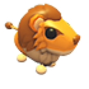 Steppe Lion