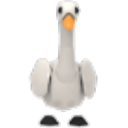 Swan