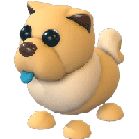 Tan ChowChow