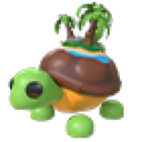Tortuga de la Isla