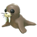 Walrus