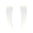 Walrus Tusks